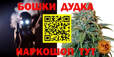 крисы Кимры